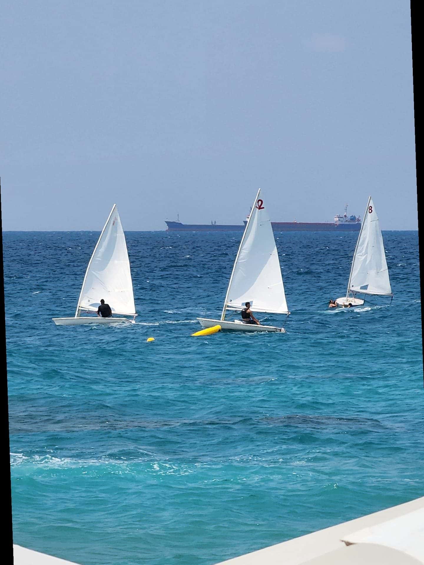 SAILING INSTRUCTOR- LEBANON- FLYING FROG