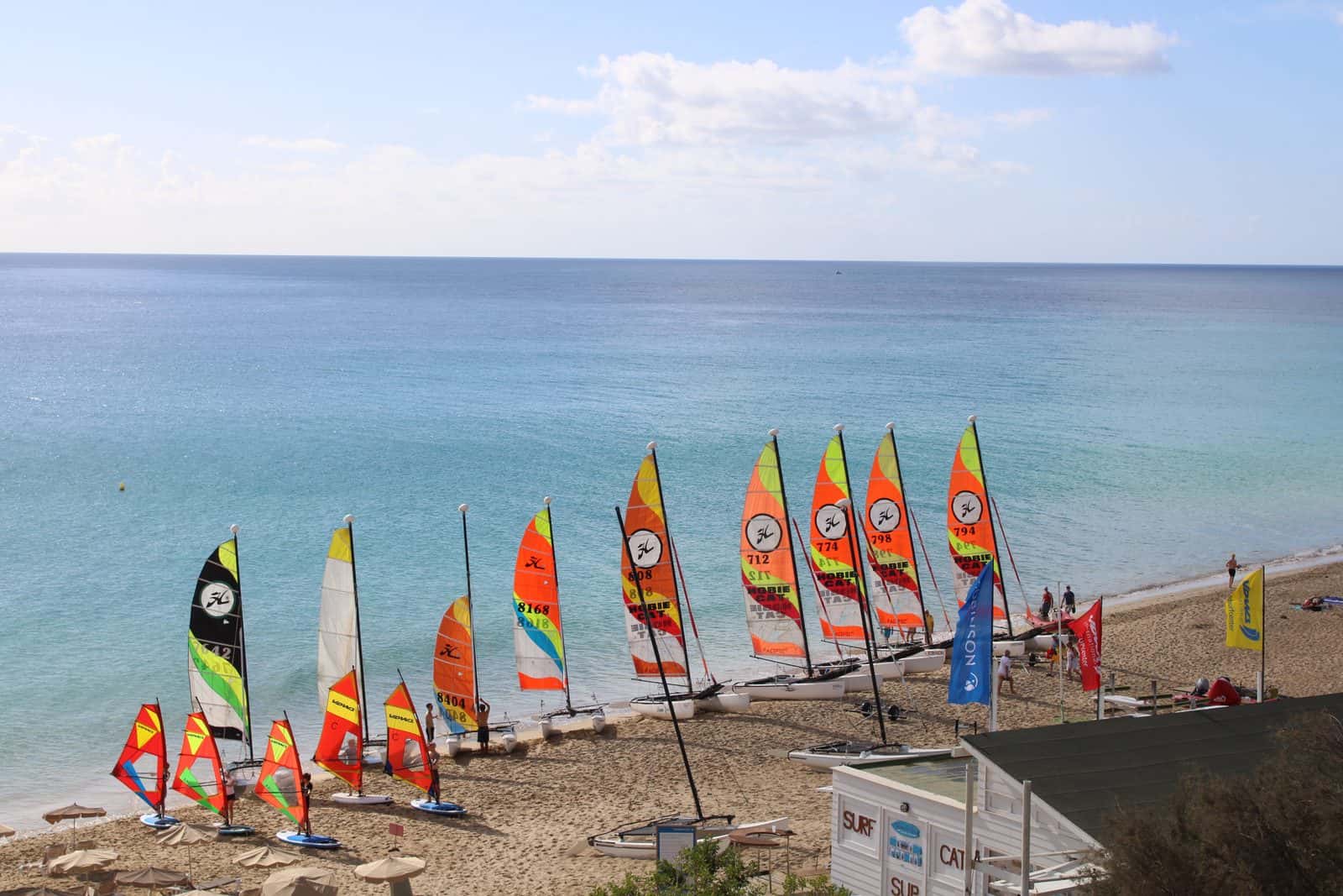 Windsurf/Wing/Catamaran Instructor - Fuerteventura (DEUTSCH/GERMAN)